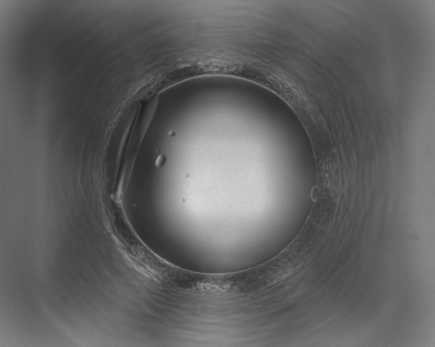 X0000076380690200610061125