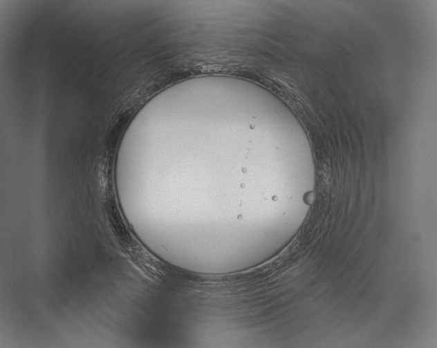 X0000076380691200610061125