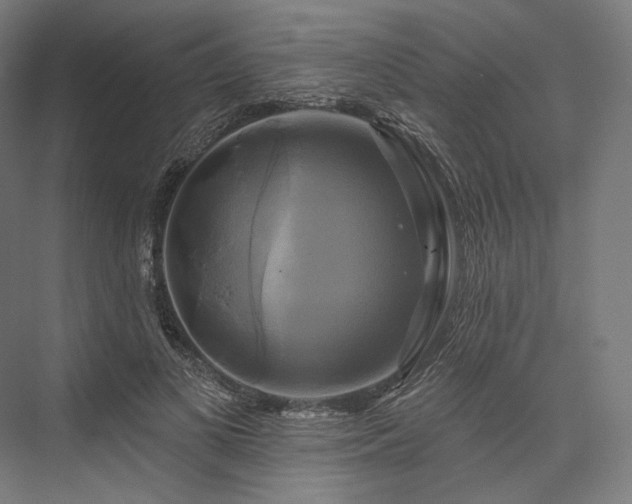 X0000076380693200610061125