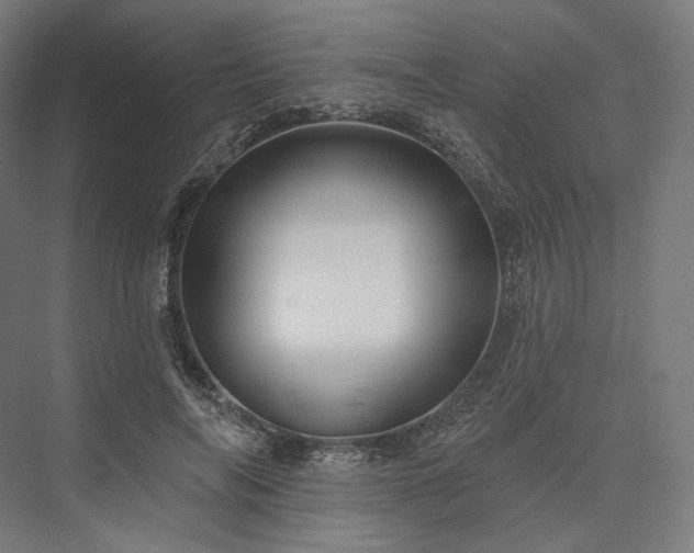 X0000076380694200610061125