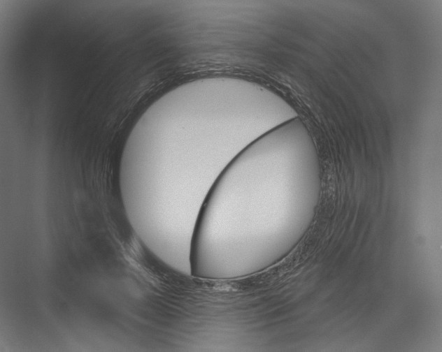 X0000076380695200610061125