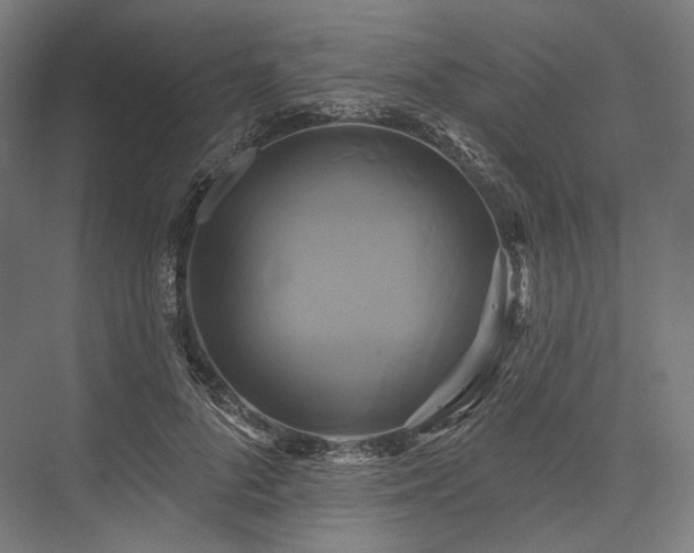 X0000076380696200610061125