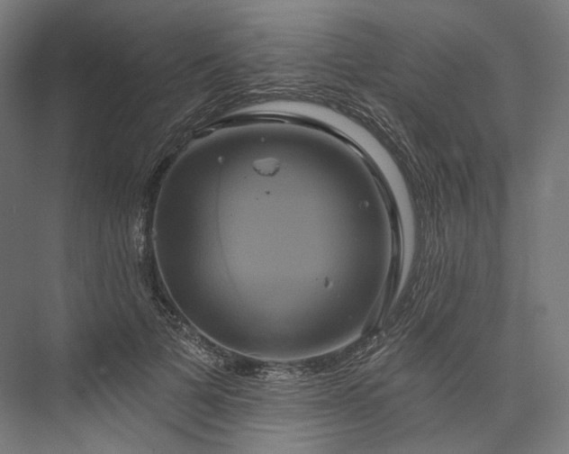 X0000076380697200610061125