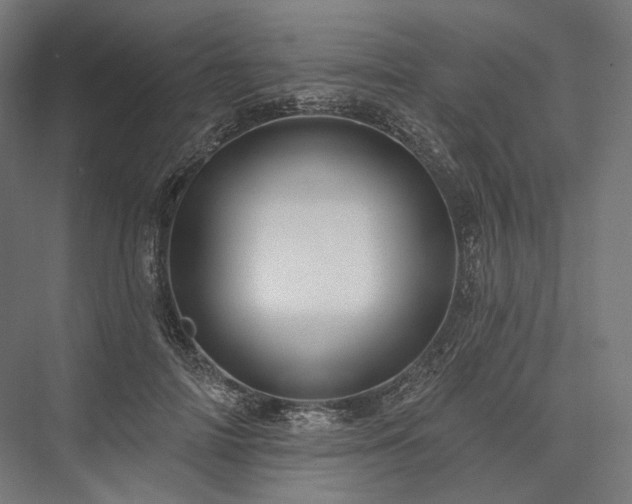 X0000076380698200610061125