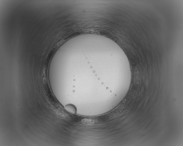 X0000076380699200610061125