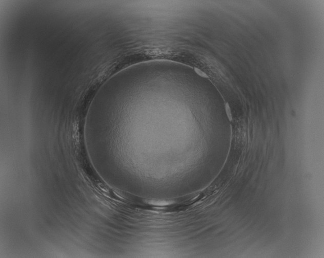 X0000076380700200610061125