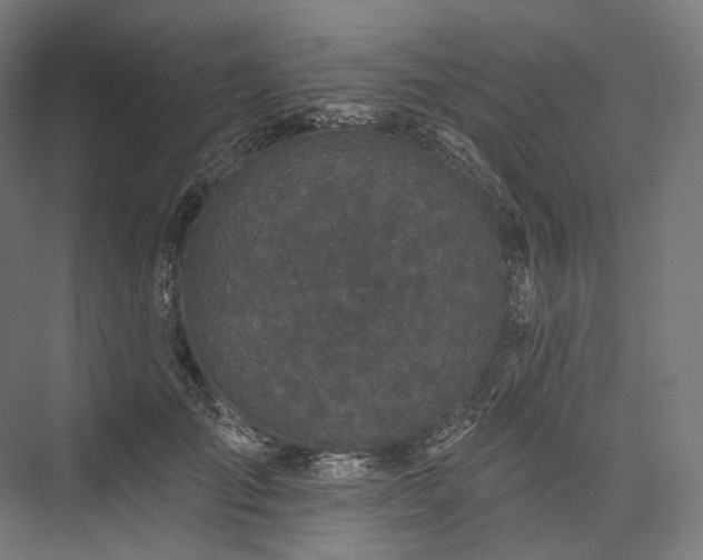 X0000076380701200610061125