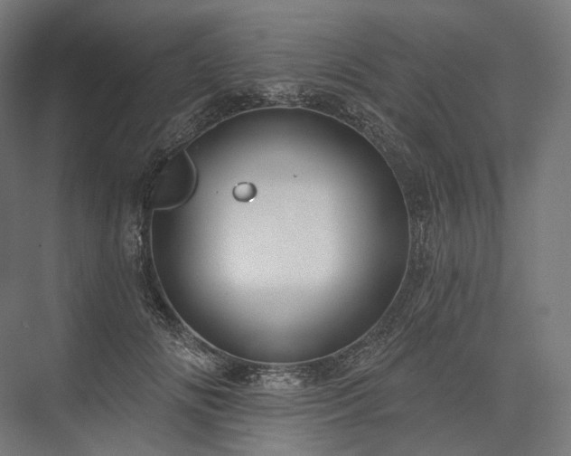 X0000076380702200610061125