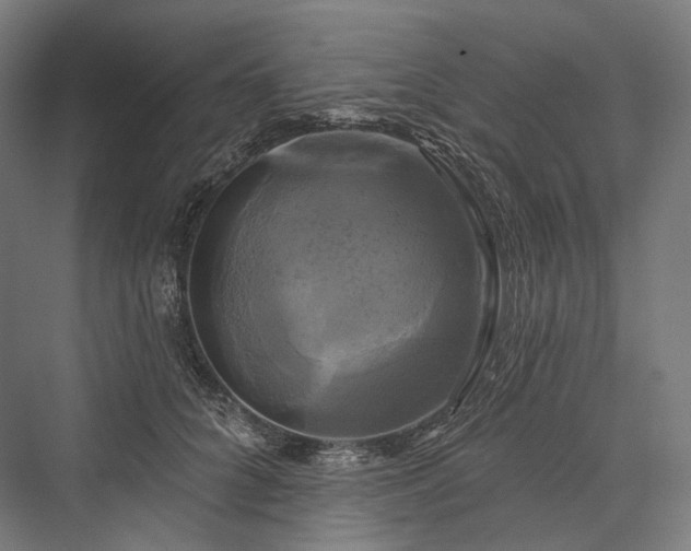 X0000076380704200610061125