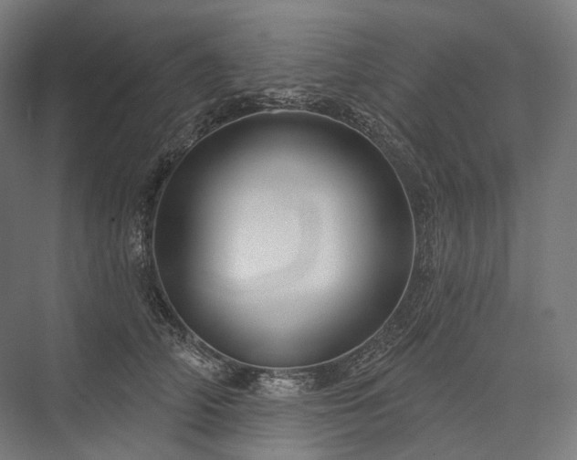 X0000076380706200610061125