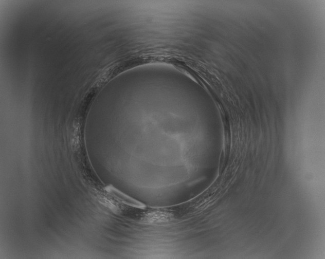 X0000076380708200610061125