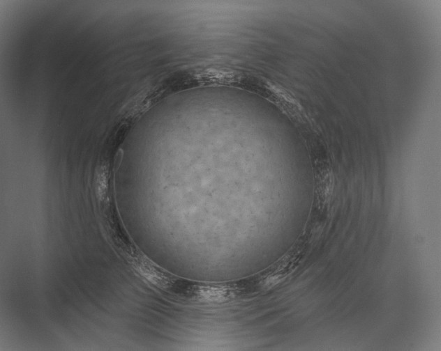 X0000076380709200610061125