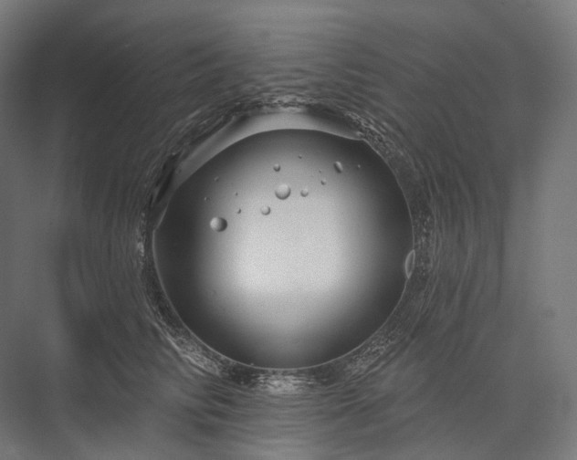 X0000076380710200610061125