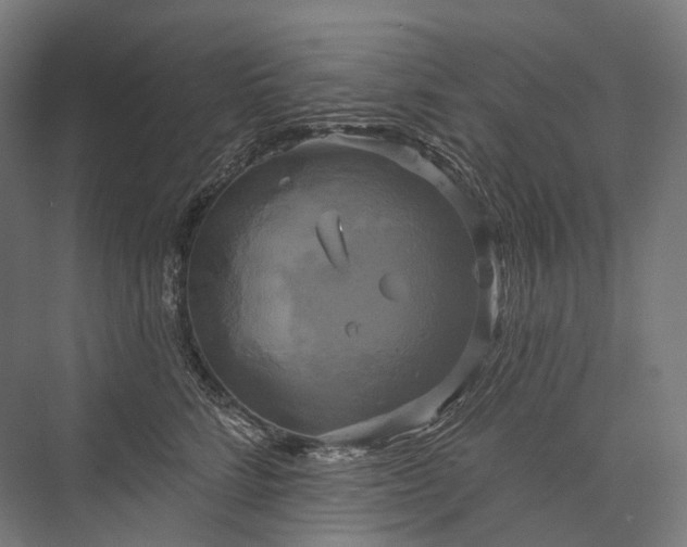 X0000076380712200610061124