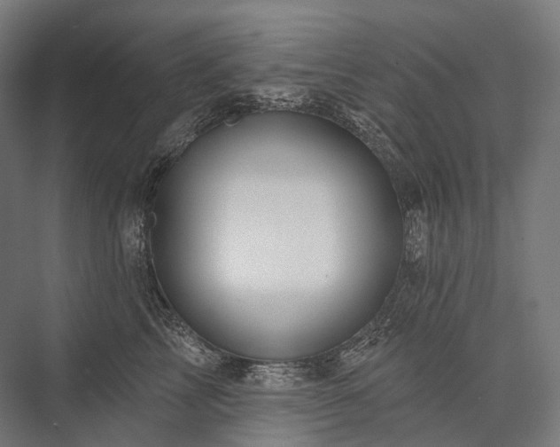 X0000076380713200610061124