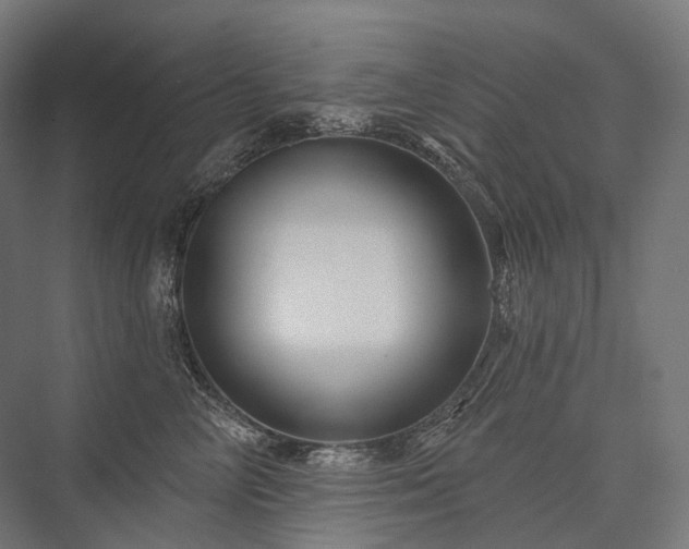 X0000076380714200610061124