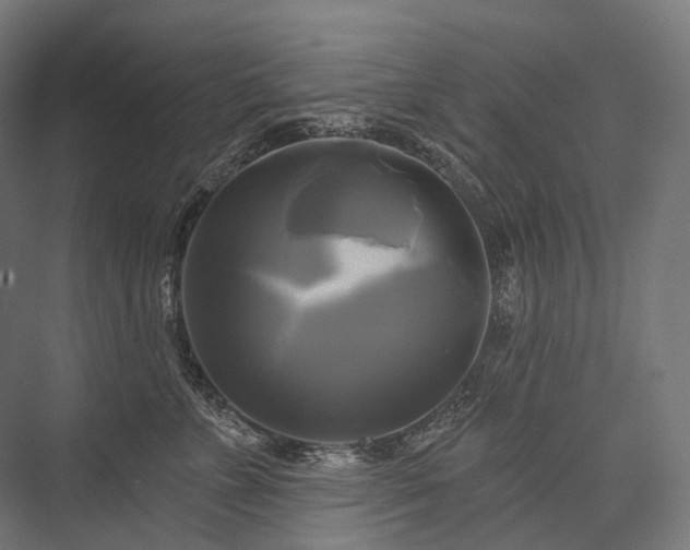 X0000076380715200610061124