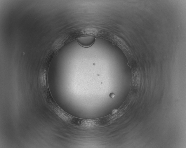 X0000076380717200610061124