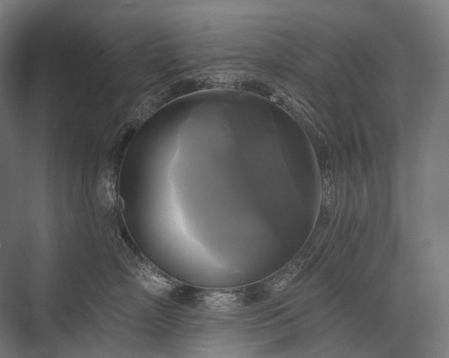 X0000076380718200610061124