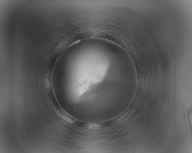 X0000076380719200610061124