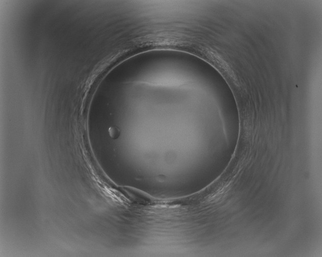 X0000076380721200610061124