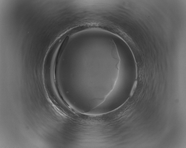 X0000076380722200610061124