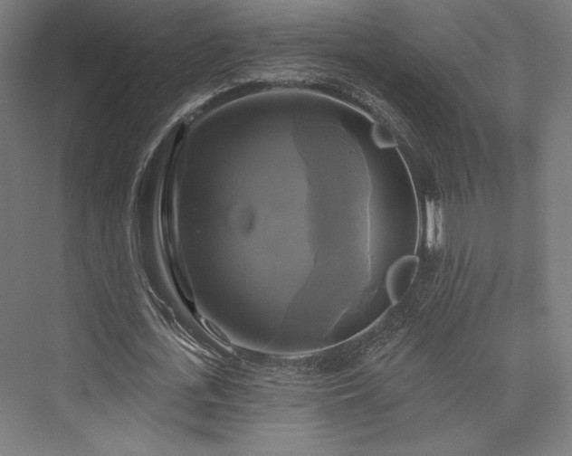 X0000076380723200610061124