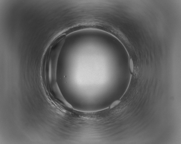 X0000076380724200610061124