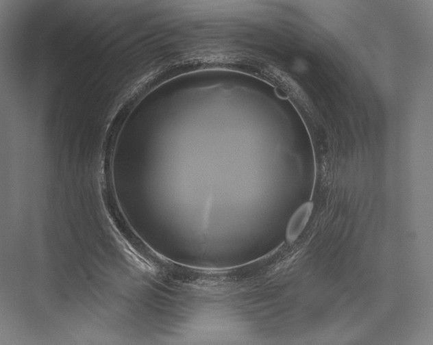 X0000076380725200610061124