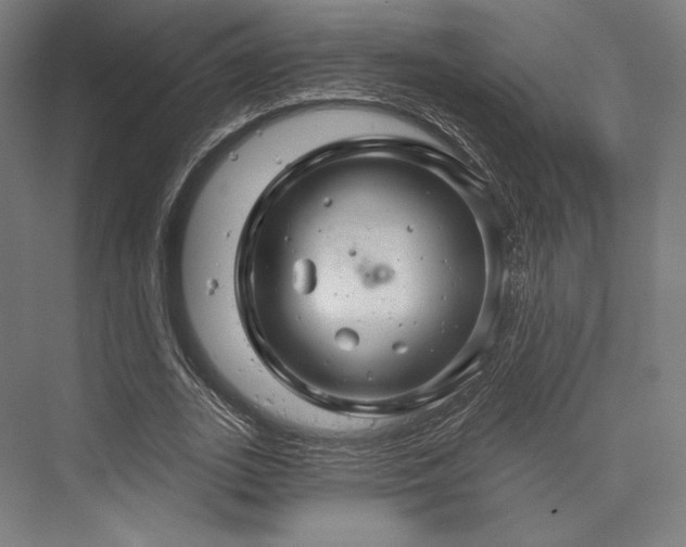 X0000076380727200610061124