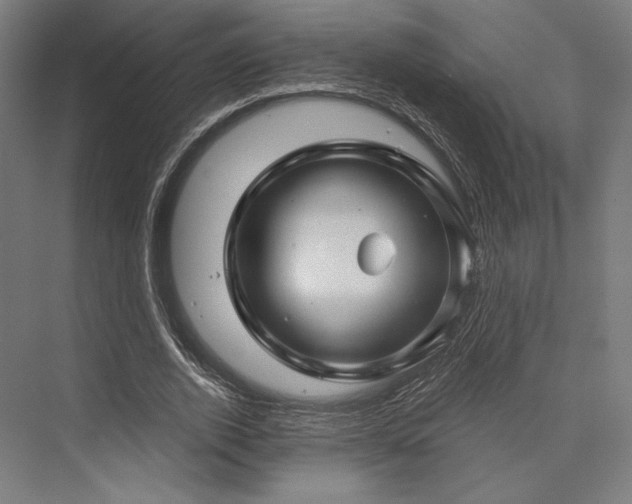 X0000076380728200610061124