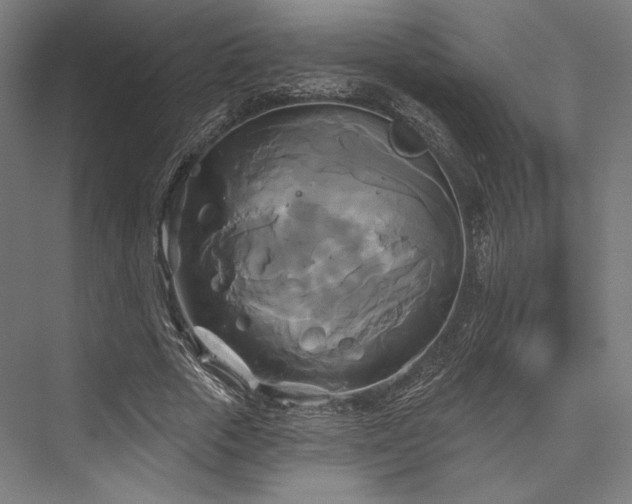 X0000076380729200610061124