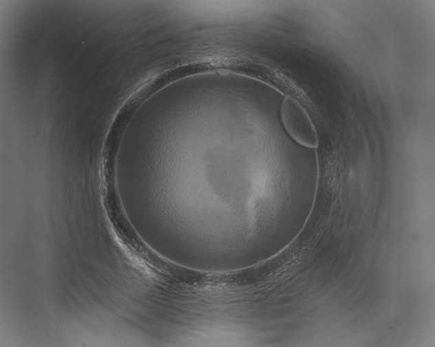 X0000076380730200610061124