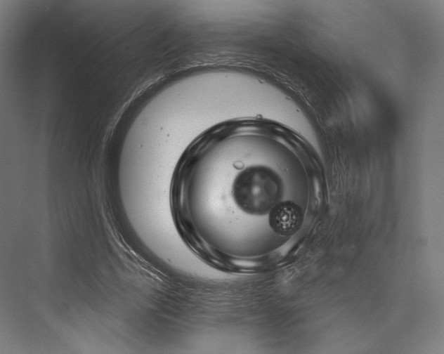 X0000076380731200610061124