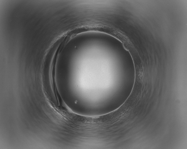 X0000076380732200610061124