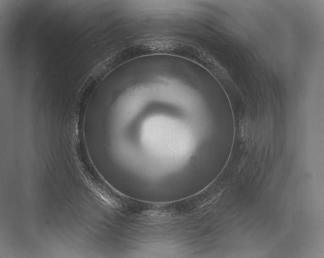 X0000076380733200610061124