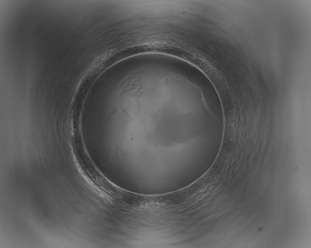 X0000076380734200610061124