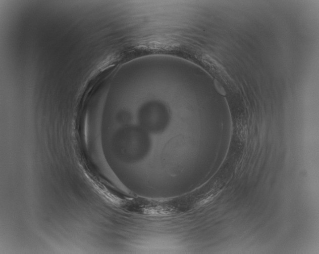 X0000076380735200610061124