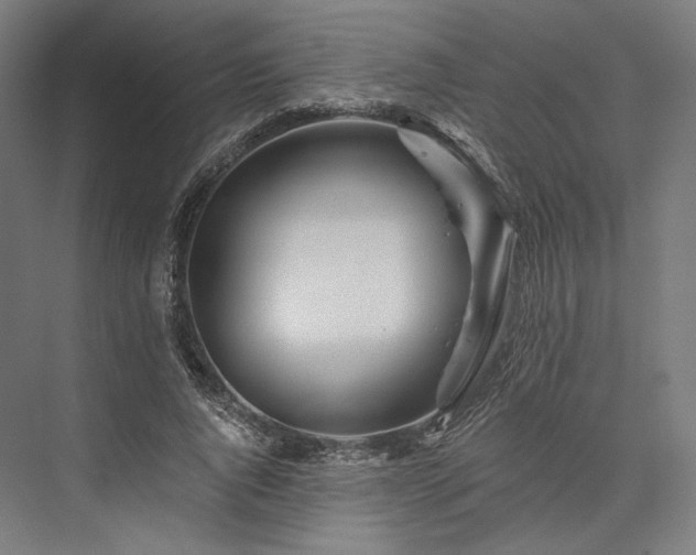 X0000076380736200610061124