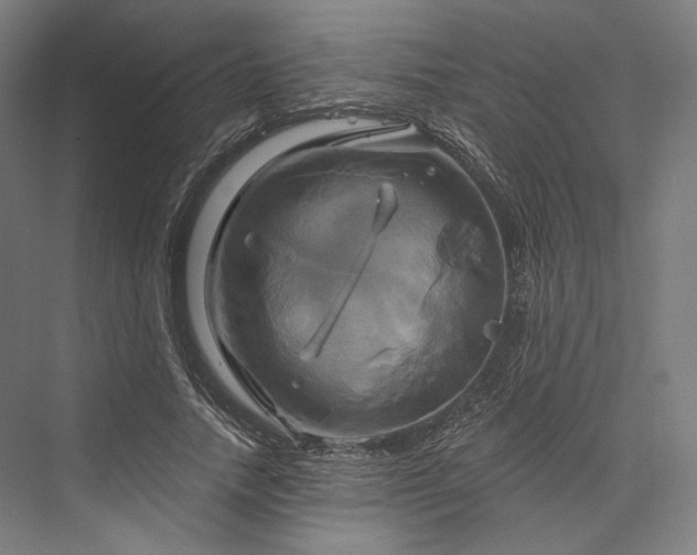 X0000076380738200610061124