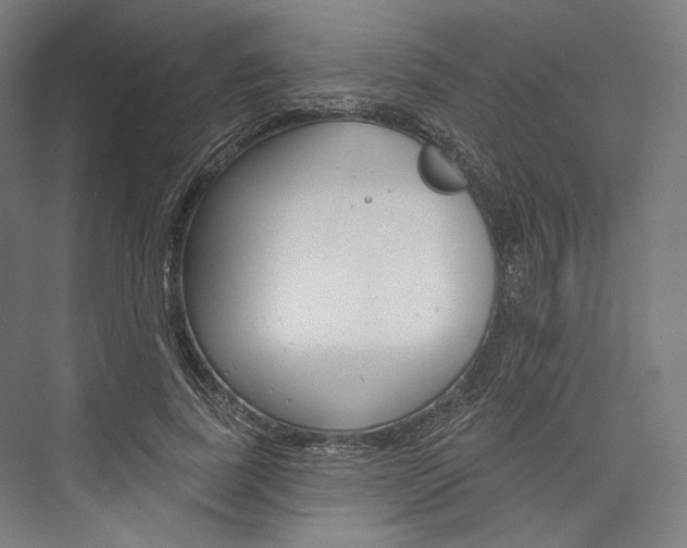 X0000076380739200610061124