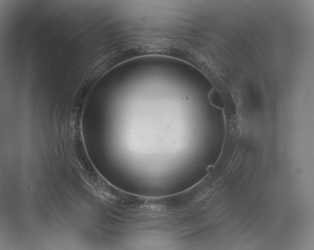 X0000076380741200610061124