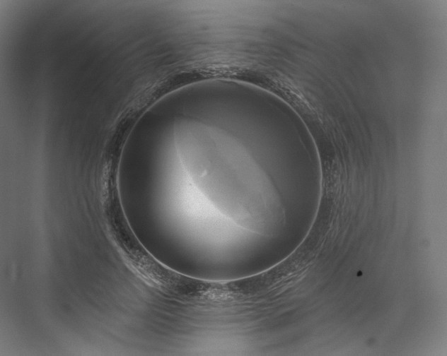 X0000076380742200610061124