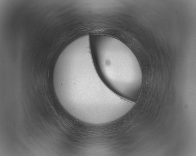 X0000076380743200610061124