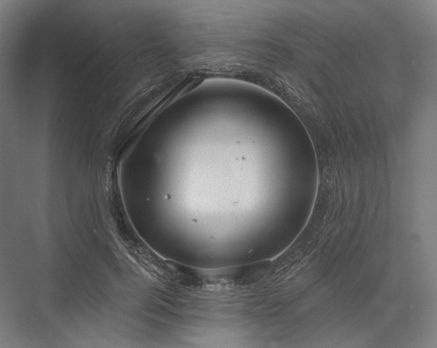 X0000076380744200610061124