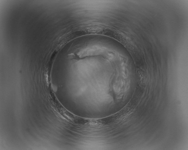 X0000076380745200610061124