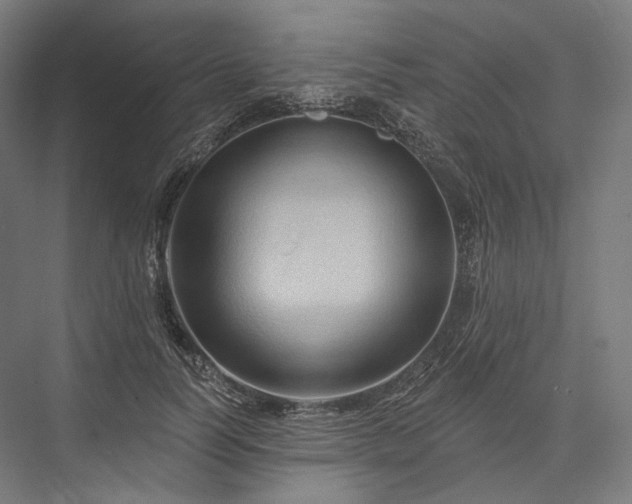 X0000076380746200610061124