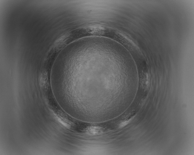 X0000076380748200610061124