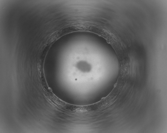 X0000076380749200610061124