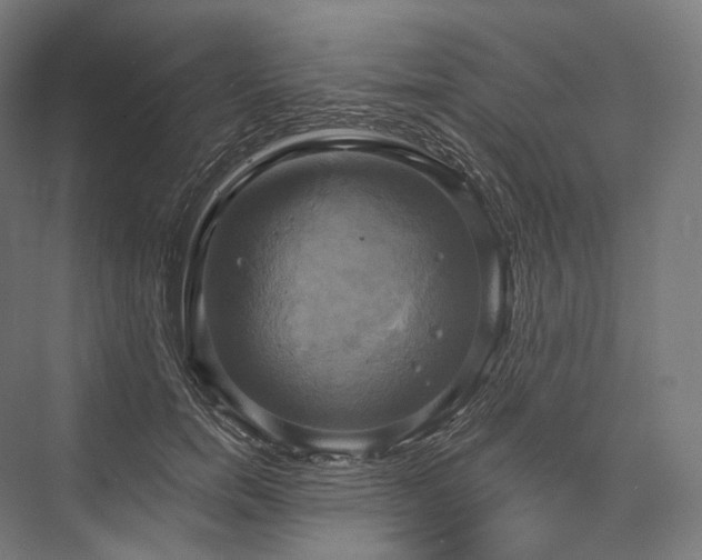 X0000076380750200610061124